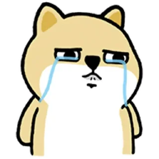 [sticker](media:AAMCBQADHQJPSdx3AAECniZge_0nZuTG3A1ROI3hKu4GpgGQagAC8V4BAAH25lIbBuOgoTxn7eoPY1xsdAADAQAHbQADHUoAAh8E@telegram)