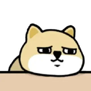 [sticker](media:AAMCBQADHQJPSdx3AAECxAVgrIzZIlAWQRGZQTxnQ1CcagABlS4AAgIAA5KMsh6BMXwmJmb19iamumt0AAMBAAdtAAPFgQACHwQ@telegram)