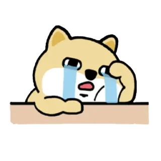 [sticker](media:AAMCBQADHQJPSdx3AAECxy1gvtoPUe40dDyEkXZ6507nMVjNLAACcQADzU3dDgZFwkwmr6dmlMMCMwAEAQAHbQADflwAAh8E@telegram)