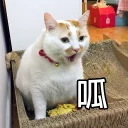 [sticker](media:AAMCBQADHQJQ4sFGAAIFOWEgq6wy-wnurcUZleZrdRq_d5wZAALqAwAC5BWdDHzwWtlHHj95AQAHbQADIAQ@telegram)