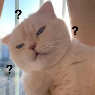 [sticker](media:AAMCBQADHQJQ4sFGAAIPnWGd8N97LscnzPJSlXY6IwFQjaPfAAJRAAON_dQQono1yKAiMckBAAdtAAMiBA@telegram)