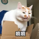 [sticker](media:AAMCBQADHQJQ4sFGAANmYNluF0OB-XAUK_lL24UKv9CiXOIAAuEDAALkFZ0M4xqmqpQZVNEBAAdtAAMgBA@telegram)