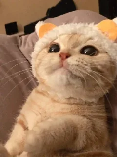 [sticker](media:AAMCBQADHQJWtdtwAAIit2CP96tKyCsKW8l0y0WSZTqMigxOAALLAQAC1YPYEOURbKszD1gdCEZganQAAwEAB20AA5RnAAIfBA@telegram)