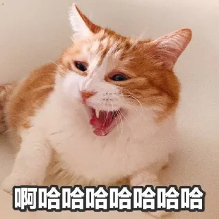 [sticker](media:AAMCBQADHQJWtdtwAAIrR2CSMnUHPbcgbWq7MIIt_tRowJG2AAJDAAPFsLof1xiPGY69c5nN6PkyAAQBAAdtAAM2LQACHwQ@telegram)