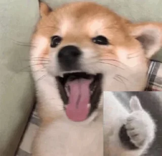 [sticker](media:AAMCBQADIQUABIPGWOoAAQEKNmc46TTnbtXzaOH7-JU56dO_zmRGAAIQCQACTOIYVI6K2Pip7vSMAQAHbQADNgQ@telegram)