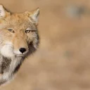 [sticker](media:AAQBAAMzAAMrUDAiKJLRJrpPu7HkQwwwAAQBAAdtAAMXZQACFgQ@telegram)