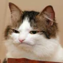 [sticker](media:AAQBABM9s94vAATZSIENt143Nt0fAAIC@telegram)