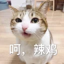 [sticker](media:AAQBABN-3wowAAT6SRCVaNKUgkJGAAIC@telegram)