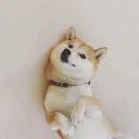 [sticker](media:AAQBABNI4gowAAQS2LRI4DdWX7pLAAIC@telegram)