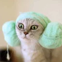 [sticker](media:AAQBABNLx9YvAARoycPm9-ir4o4cAAIC@telegram)