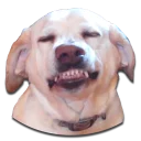 [sticker](media:AAQBABNTtucvAARl-qk_3_QiH3QIAAIC@telegram)