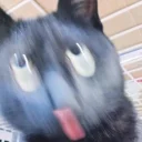 [sticker](media:AAQBABNU0AowAATVQ2x8OFQWODs_AAIC@telegram)