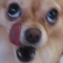 [sticker](media:AAQBABNwAQMwAARJi6QHGz-j3FNiAAIC@telegram)