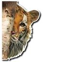 [sticker](media:AAQBABNx4dYvAAR5GHlxQ1tseVcHAAIC@telegram)