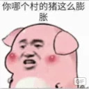 [sticker](media:AAQBABOpQgwwAASDLOdnXauuWCA-AAIC@telegram)