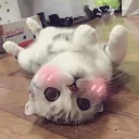 [sticker](media:AAQBABOrzAowAASBgwmZ8fyARF5CAAIC@telegram)