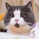 [sticker](media:AAQBABPMCRQwAARfeBLwGesxkuAeAAIC@telegram)