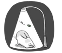 [sticker](media:AAQBABPZtucvAAQlG1prrWYyOeAMAAIC@telegram)
