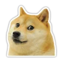 [sticker](media:AAQBABPhdd4vAAS33hBH3O4rUUsdAAIC@telegram)