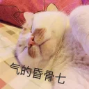 [sticker](media:AAQBABPiCgswAASO2zPNuN2HMZ5fAAIC@telegram)