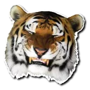 [sticker](media:AAQBABPk99opAAR1k9aqpwbh36CpAAIC@telegram)