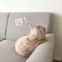 [sticker](media:AAQBABPr1QowAASeuNdXMgOe1e9BAAIC@telegram)