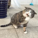 [sticker](media:AAQCAAMOAQACFnxoAzpSTjtyapl3qr_jDQAEAQAHbQADww8AAhYE@telegram)