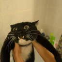 [sticker](media:AAQCAAMTAQACFnxoA2tgDjQZEuMyCUpLDQAEAQAHbQADMRsCAAEWBA@telegram)