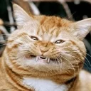 [sticker](media:AAQCAAMpBwACXAJlAzc6iZDu3H9Ppx6CDQAEAQAHbQADHm8AAhYE@telegram)