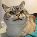 [sticker](media:AAQCAAMxBwACXAJlA1-b_xZQZoV3vcKBDQAEAQAHbQAD8K8AAhYE@telegram)