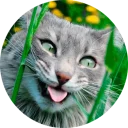 [sticker](media:AAQCAANIBgAC8UK_BRE9zwFcq-1WRAZIDQAEAQAHbQADVU4AAhYE@telegram)