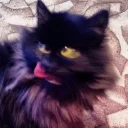 [sticker](media:AAQCAANRAQACFnxoA9kbfcrlFROH86C3DQAEAQAHbQADxjQAAhYE@telegram)