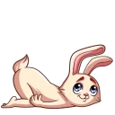 [sticker](media:AAQCAANyBAACa8TKCmMUYx7RBleprX-3DQAEAQAHbQADl4IAAhYE@telegram)