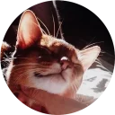 [sticker](media:AAQCAAO9AQAC8UK_BQ0bE5beNOBuFjqEKgAEAQAHbQAD1DYAAhYE@telegram)