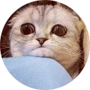 [sticker](media:AAQCAAO9BQAC8UK_BZagWHPYMlEFi_ZHDQAEAQAHbQADXRsAAhYE@telegram)