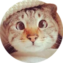 [sticker](media:AAQCAAOrAgAC8UK_BQNA6hdeWlB1a66EKgAEAQAHbQAD3RwAAhYE@telegram)