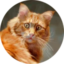 [sticker](media:AAQCAAOtAgAC8UK_BUsmZbNA1Vfy76-EKgAEAQAHbQADNhQAAhYE@telegram)