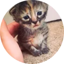 [sticker](media:AAQCAAP-BAAC8UK_BRkKERAFvs0OpayCKgAEAQAHbQAD8SYAAhYE@telegram)