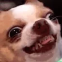 [sticker](media:AAQCAAP8BwACXAJlAzuMgS0ija6wTorjDQAEAQAHbQADpAEAAhYE@telegram)