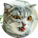 [sticker](media:AAQCAAPFCQAC8UK_BfUm7HaufRrCccb0DgAEAQAHbQAD5gwAAhYE@telegram)