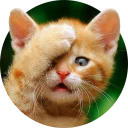 [sticker](media:AAQCAAPGCQAC8UK_BTukx0BlBGbPKvDyDgAEAQAHbQADWAgAAhYE@telegram)