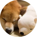 [sticker](media:AAQCABMd54UqAARXUYv_uT1XX58LAAIC@telegram)