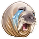 [sticker](media:AAQCABMdtIQqAAQUQI3yyPsQsCUKAAIC@telegram)