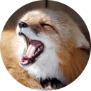 [sticker](media:AAQCABMgK7cNAATqvXeYAAFOeqNOdAACAg@telegram)