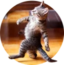[sticker](media:AAQCABMguYIqAASMCR9vT473MfI-AAIC@telegram)