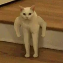 [sticker](media:AAQCABMlS0sNAASrBpFu2KgAAdPGmwEAAQI@telegram)