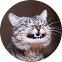 [sticker](media:AAQCABMzIIQqAASg7PmLly1nSJFDAAIC@telegram)