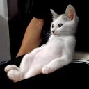 [sticker](media:AAQCABN4G4INAATfj0ts6K_q635tAAIC@telegram)