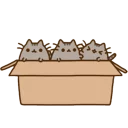 [sticker](media:AAQCABNF0oUqAAQMG1dnFFFWVi0tAAIC@telegram)