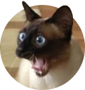 [sticker](media:AAQCABNMFhAOAAScc7YxjfBbrkV8AAIC@telegram)